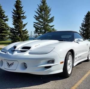 Meet your Posher, Jen